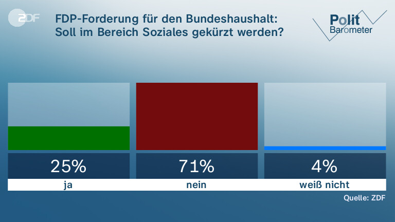 FDP-Forderung für den Bundeshaushalt: Soll im Bereich Soziales gekürzt werden?