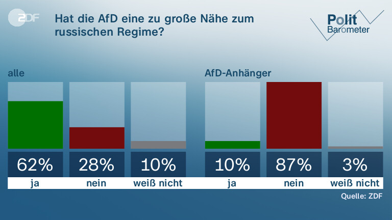 Hat die AfD eine zu große Nähe zum russischen Regime?