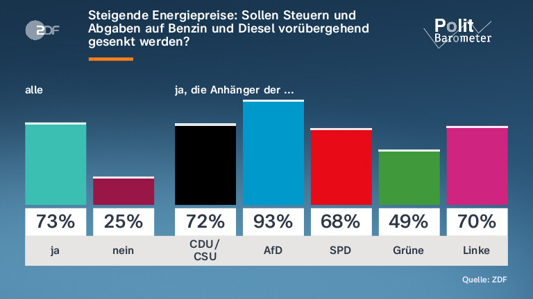 Steigende Energiepreise: Sollen Steuern und Abgaben auf Benzin und Diesel vorübergehend gesenkt werden?