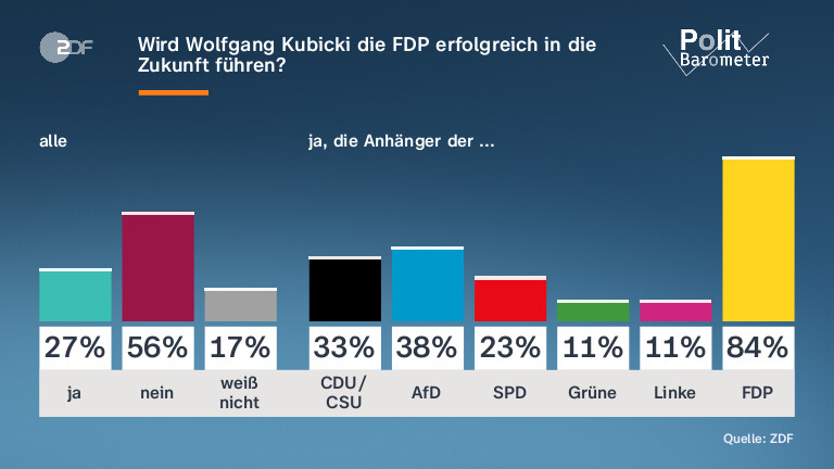 Wird Wolfgang Kubicki die FDP erfolgreich in die Zukunft führen?