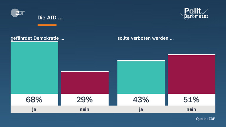 Die AfD ... 