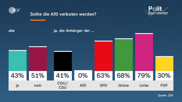Sollte die AfD verboten werden?