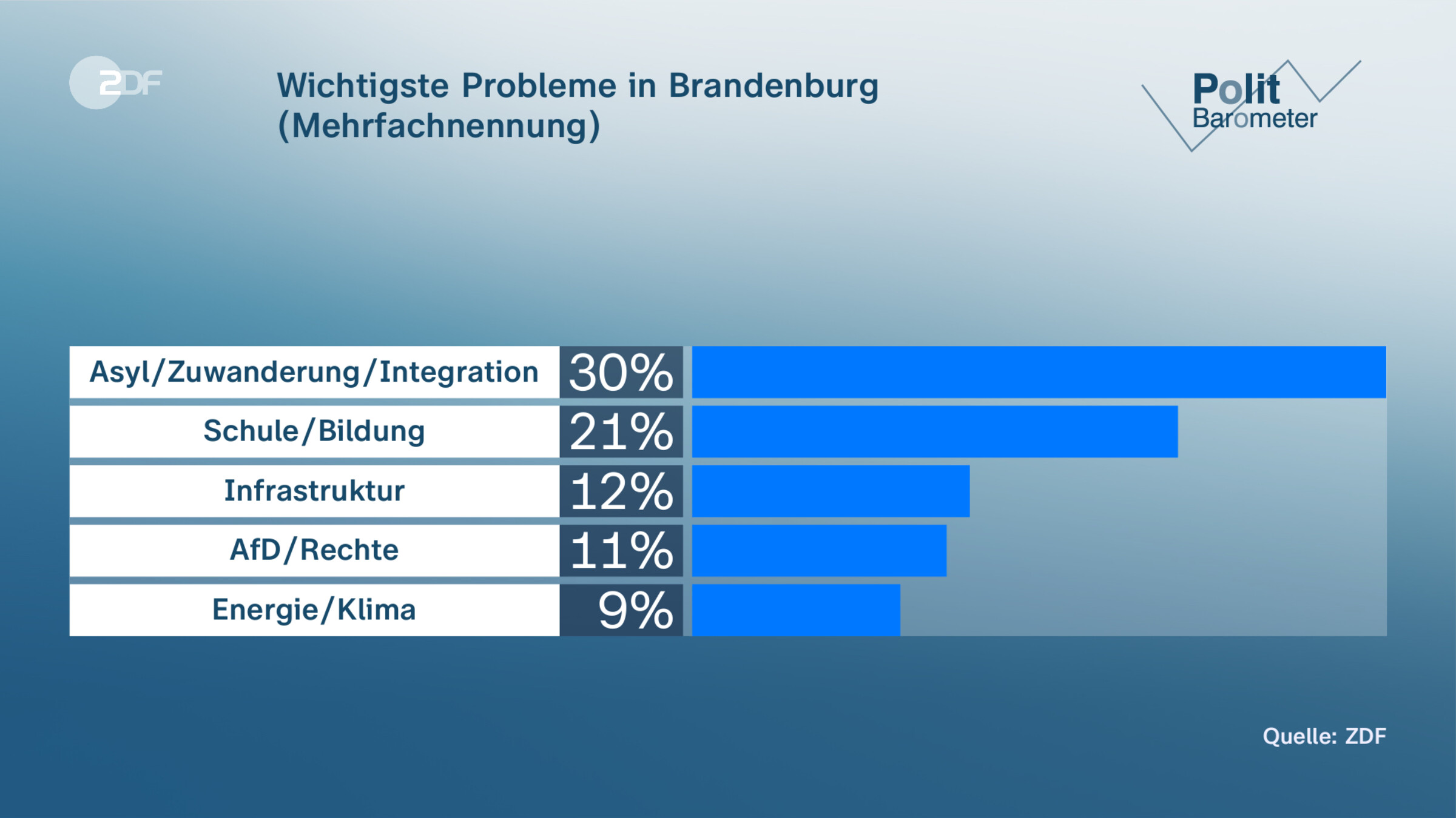 Wichtigste Probleme in Brandenburg (Mehrfachnennung)